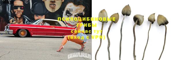 дмт Балабаново