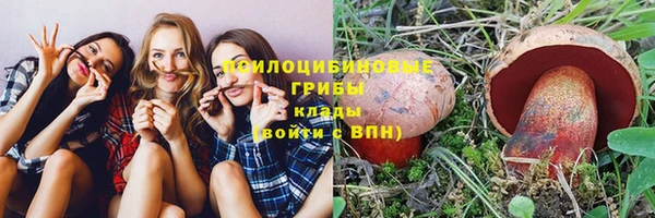 Альфа ПВП Балахна