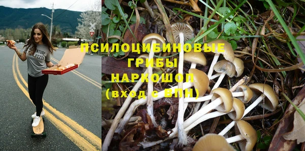 Альфа ПВП Балахна