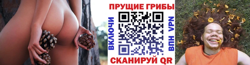 Псилоцибиновые грибы прущие грибы  Онега 
